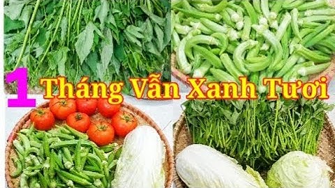 Cách Bảo Quản các loại Rau Quả trong tủ lạnh tươi lâu từ những vật dụng có sẵn trong gia đình|| ÂTTG