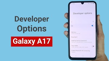 Hoe u ontwikkelaarsopties in de Samsung A17 in- of uitschakelt
