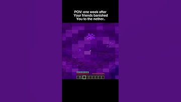 POV: one week after your friends banished you in the nether #shorts #minecraftshorts #viralshorts ￼