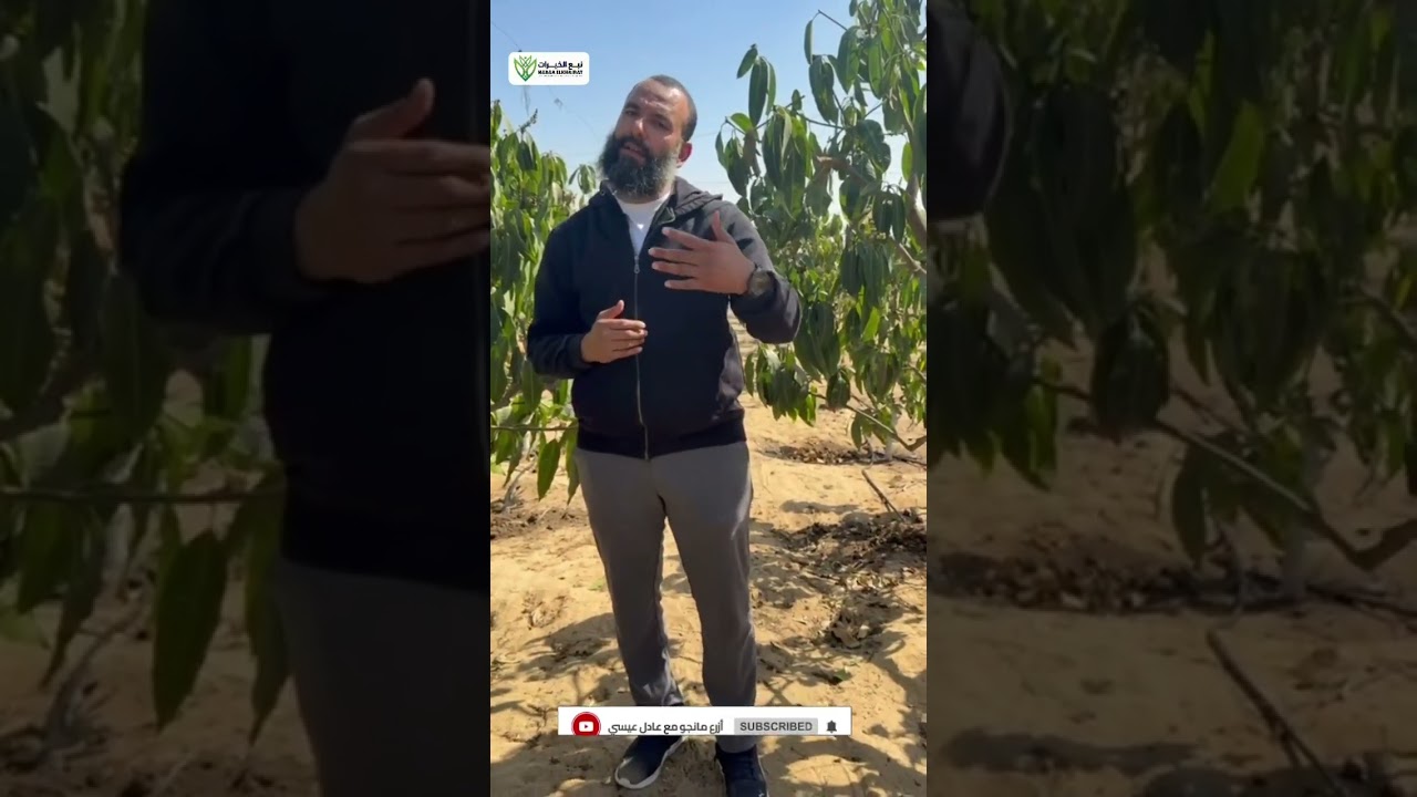 اتعلم بنفسك تعمل برنامج ري لمزرعتك يزود انتاجك أضعاف ويزود تزهيرك ويقلل الأمراض