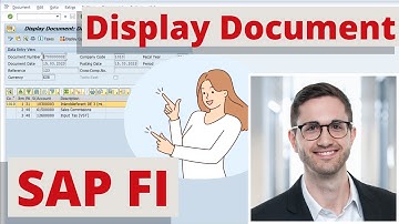 How to Display SAP Documents in SAP FI 🌟