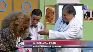 La Veterinaria De Don Che En Mcc 13 09 2014 Septiembre 2014