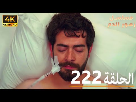 الحلقة 222 مسلسل زهور الدم مدبلج بالعربية Kan Çiçekleri 