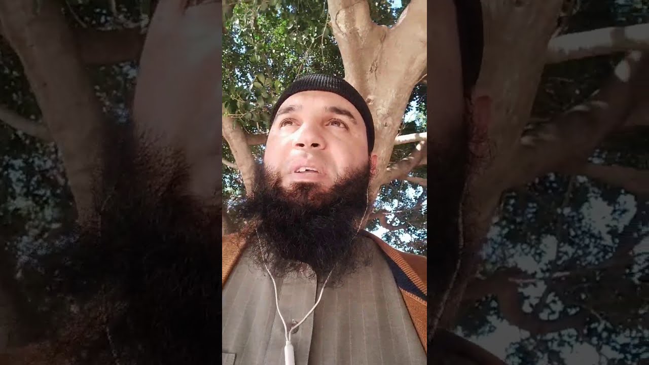 رزنامة اختبارات الفصل الأول #المرافقة_للبيداغوجية Clic editions /محمد أبوشاكر لعبودي