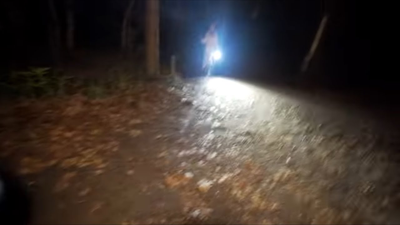 موقف غريب صار مع يتيوبر لمن راح الغابة😨‼️