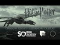 Harry potter and the deathly hallows  dragon flight  midi mockup