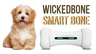 Automatic & Interactive Toy for Dog screenshot 4