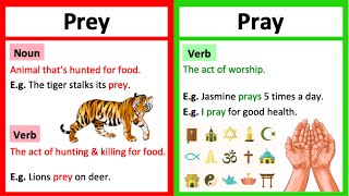 PREY vs PRAY 🤔 | What's the difference? | Learn with examples & quiz!