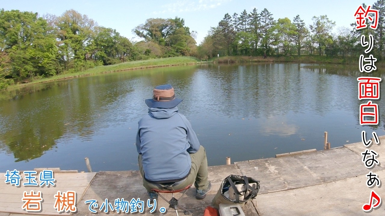 釣りは面白いなぁ♪ 釣れても釣れなくても面白い～♪ 埼玉県 岩槻で小物釣り。