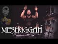 Eugene Ryabchenko - Meshuggah - Future Breed Machine (cover)