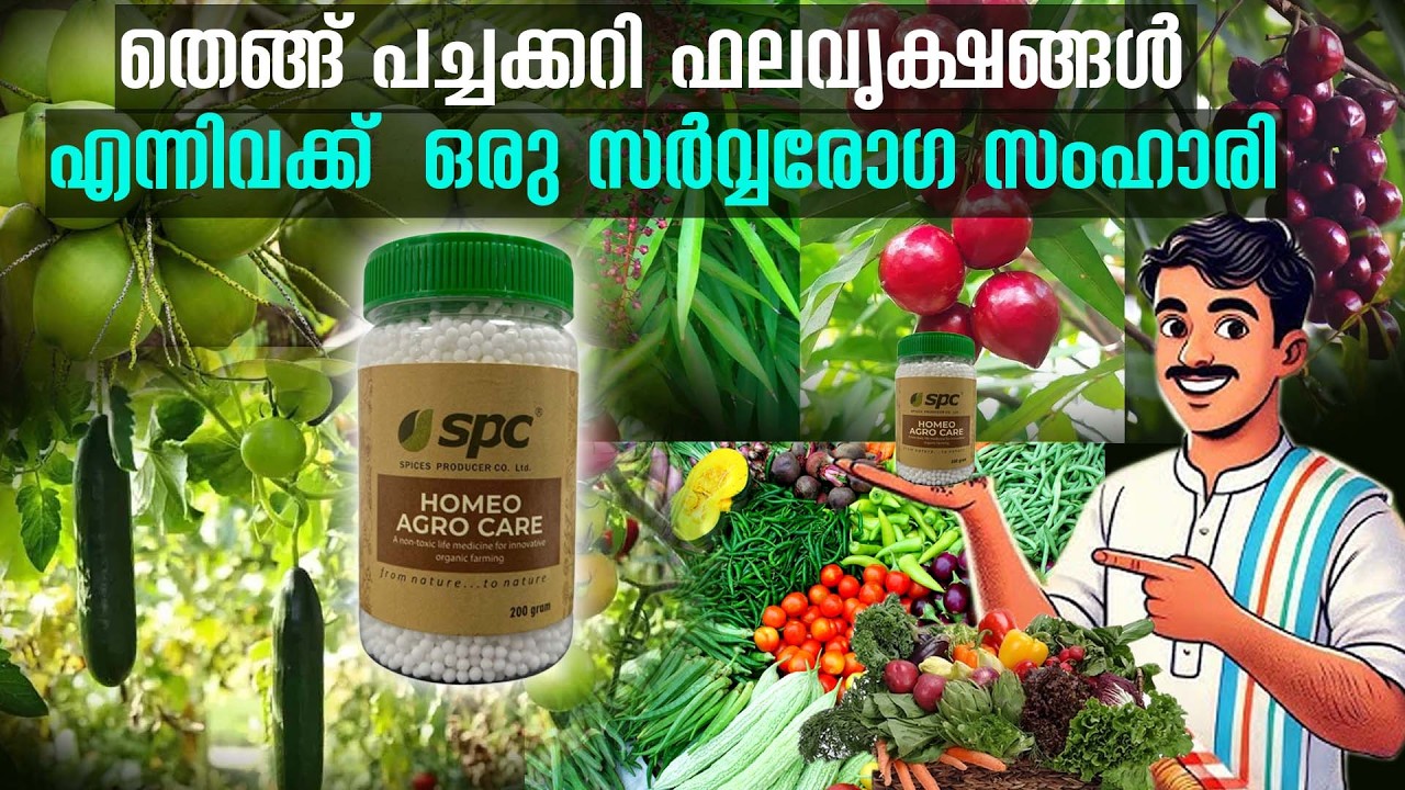 തെങ്ങ് പച്ചക്കറി ഫലവൃക്ഷങ്ങൾ എന്നിവക്ക്  ഒരു സർവ്വരോഗ സംഹാരി