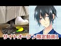 サイト開設記念! 足袋・足フェチさんに贈る着物男子/動画館 サンプル動画