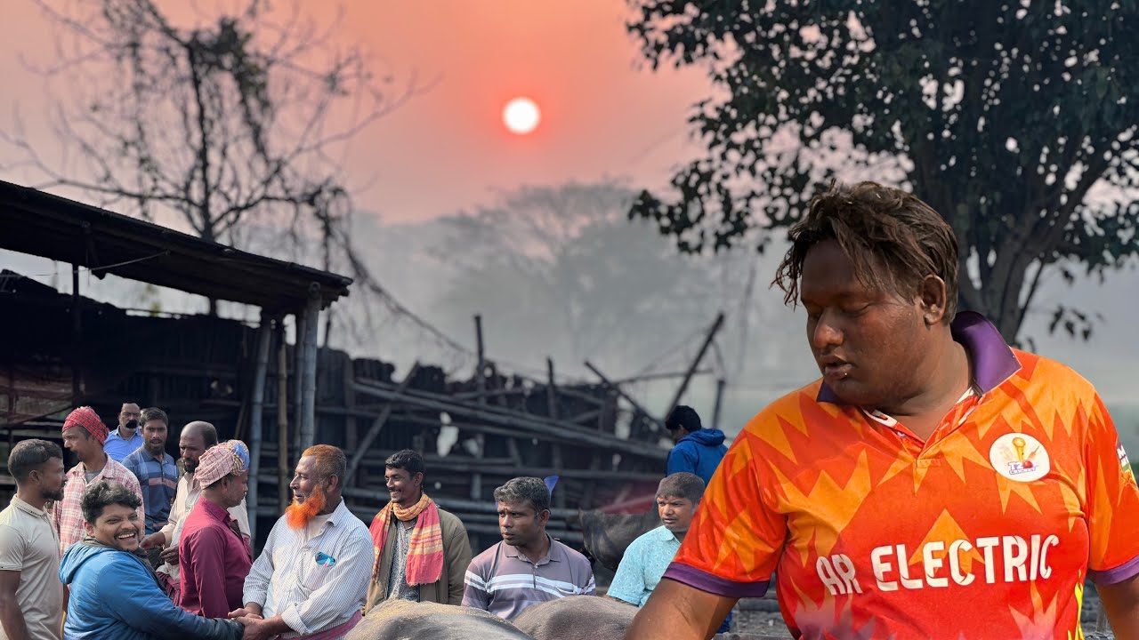 রাজশাহী সিটি হাটে গরু কিনতে গিয়ে মিসফিল্ডিং! 😱 Akram  Vai Rajshahi City Haat Cow Buying পার্ট-০১