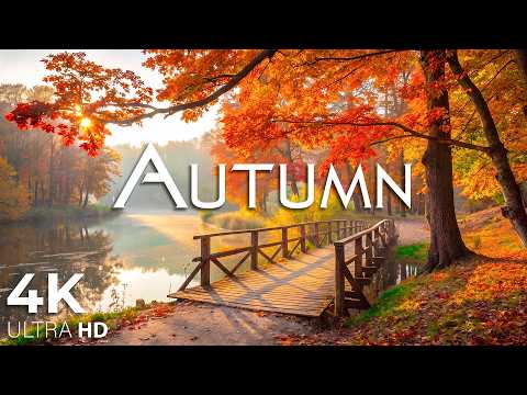 Beautiful September Autumn Forest 4K 🍁 Peaceful Nature Sounds, Healing Music & Deep Relaxation