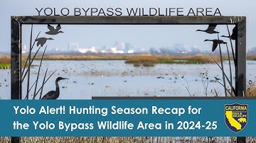 Yolo Alert! Hunting Season Recap for the Yolo Bypass Wildlife Area in 2024-25