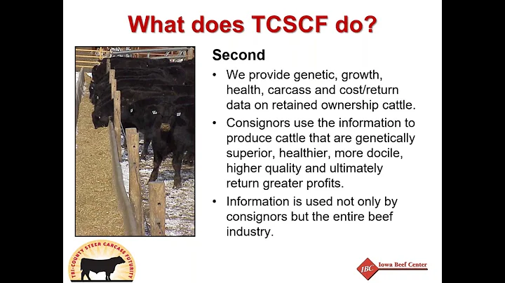 The Profit Picture  Understanding Feedlot and Carc...
