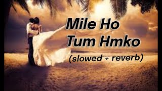 Mile Ho Tum Hum Ko | (slowed   reverb)  | Fever movie song | Romantic | Tony Kakkar