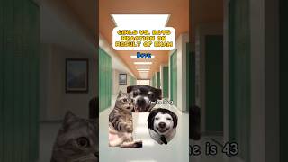 Girls vs. Boys Reaction of Result |CAT MEMES🐈| #shorts #cat #catcomedy