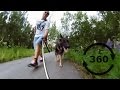 360 video and German shepherd with RICOH THETA S (Use Google Chrome)