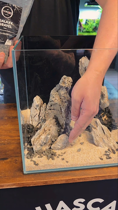 Nano cube aquarium scaped by James, take it home 😍