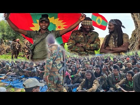 Oduu Injifannoo WBO Guyyaa Har Aa Ammee Amajjii 14 2026 