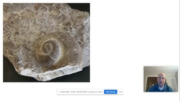 New York State Index Fossils | Regents Earth Science