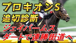 【プロキオンS2026 追切診断‼】ジェイパームス、ロードクロンヌに注目!? 元馬術選手のコラム