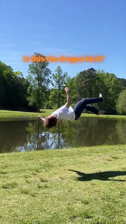 Dragon kick? 🧐