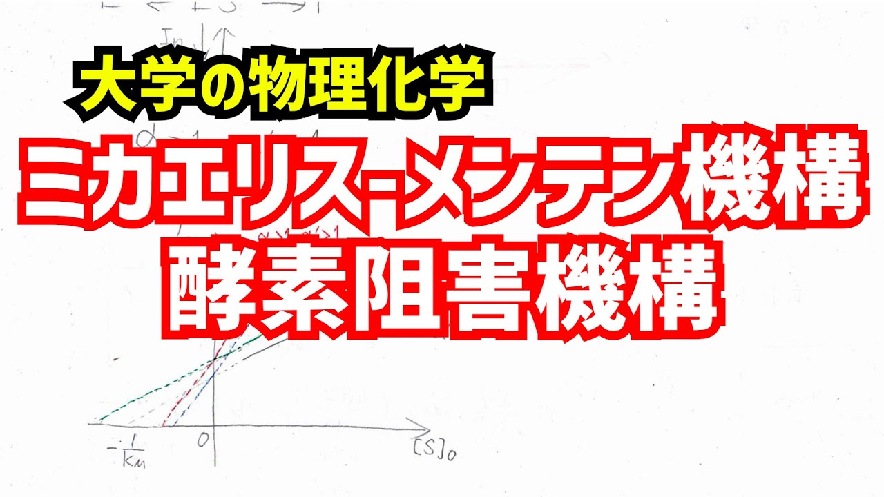 不競合阻害 ミカエリスメンテン | 競合阻害 ki 求め方 – BEWK