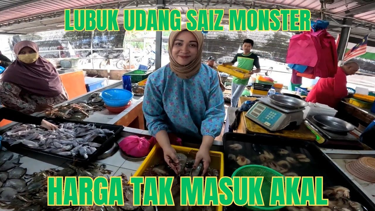 LUBUK UDANG HARIMAU SAIZ MONSTER. PALING MURAH BOLEH DAPAT DENGAN HARGA RM ..KAKAK BAJU KURUNG KEDAH