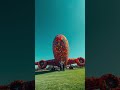 colored bubbles in the air 🤨👍 #balloonart #cute #colorpop #animals