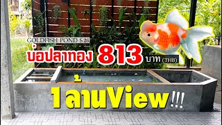 บ่อปลาทองทำเอง งบ 813 บาท goldfish pond diy l คุณพ่อคราฟ EP.23