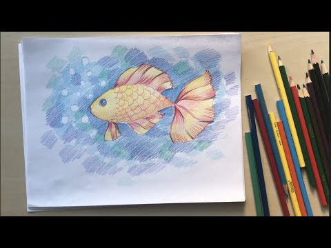 Как нарисовать золотую рыбку цветными карандашами. Рисуем вместе с Наталкой Барвинок #урок_рисования