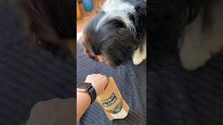 Дехидратирани лакомства от свински сърца за кучета! #кучешкатамесарница