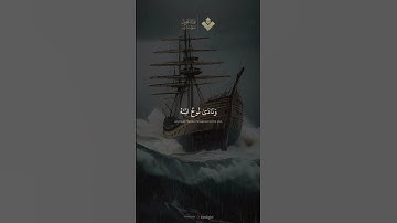 وَهِيَ تَجْرِي بِهِمْ فِي مَوْجٍ كَالْجِبَالِ | ماتيسر من سورة هود | الشيخ #المنشاوي