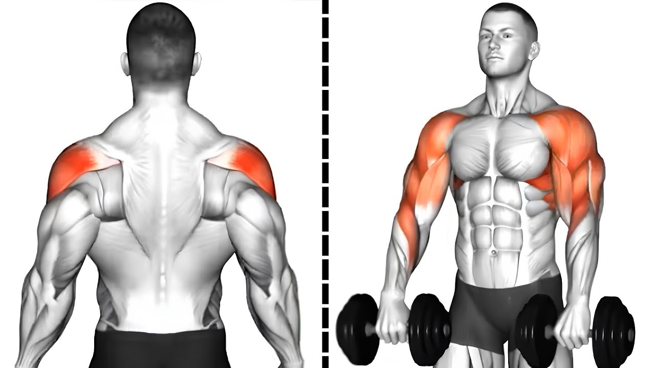 Dumbbell Shoulder Workout - Wide & Stronger Shoulders In 6 Minutes ...