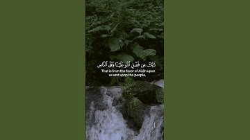 سورة يوسف الآية(38) #ما_كان_لنا_أن_نُّشرك_بالله_من_شيء ٍ #القارئ_محمد_هشام