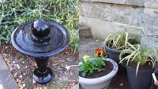 Setting Up A New Fountain + Planting Pot Plants // Salisbury Gardens NZ