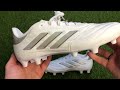 Кожанные бутсы от Adidas / Обзор Adidas Copa Pure 2 League