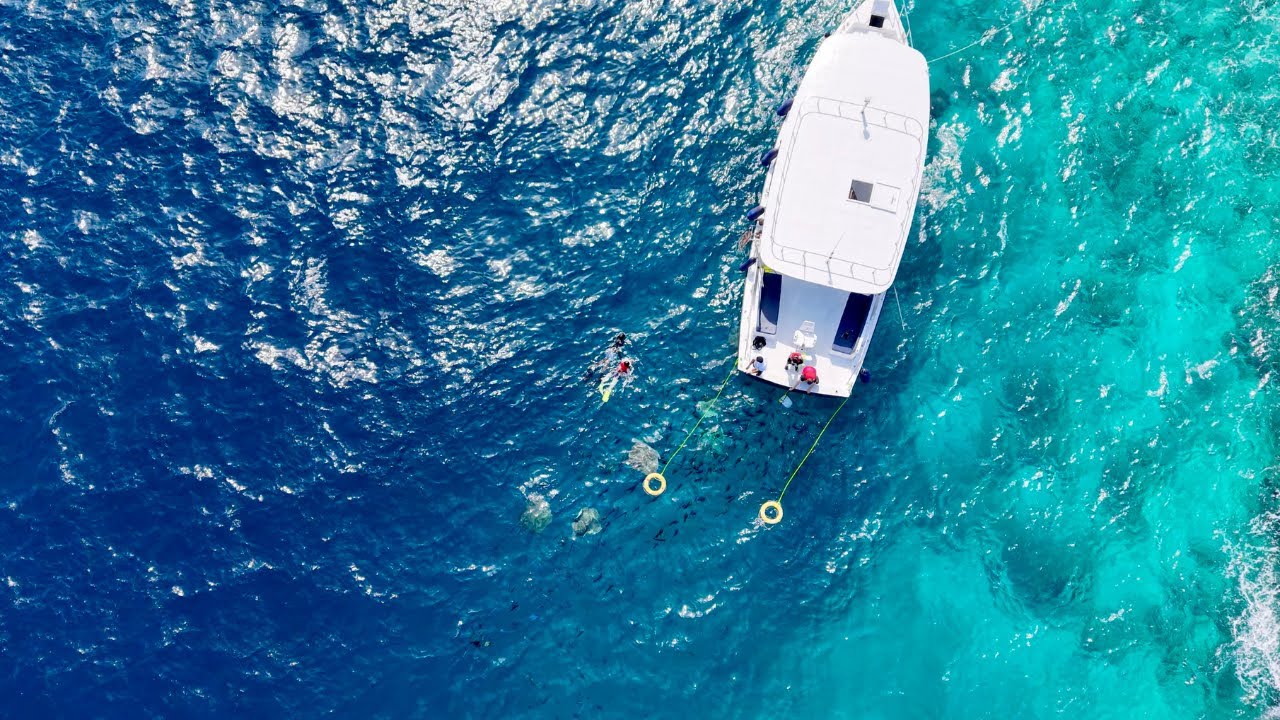 Exploring 2025 Newly Opened Resort | DusitD2 Feydhoo Maldives 🇲🇻