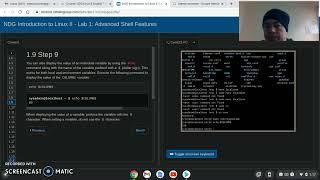Display the value of an individual variable using the  echo  command