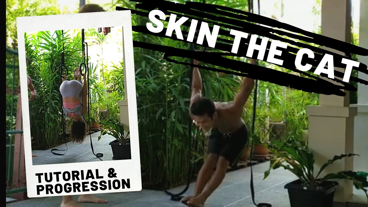 SKIN the CAT tutorial & progression exercises on rings