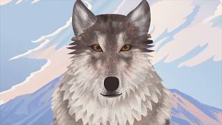 I AM 06: The Wolf That Started A Movement