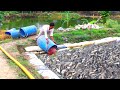 They Gives Lots Of Different Food To Hungry Catfish|| Indian Fish Farming Business