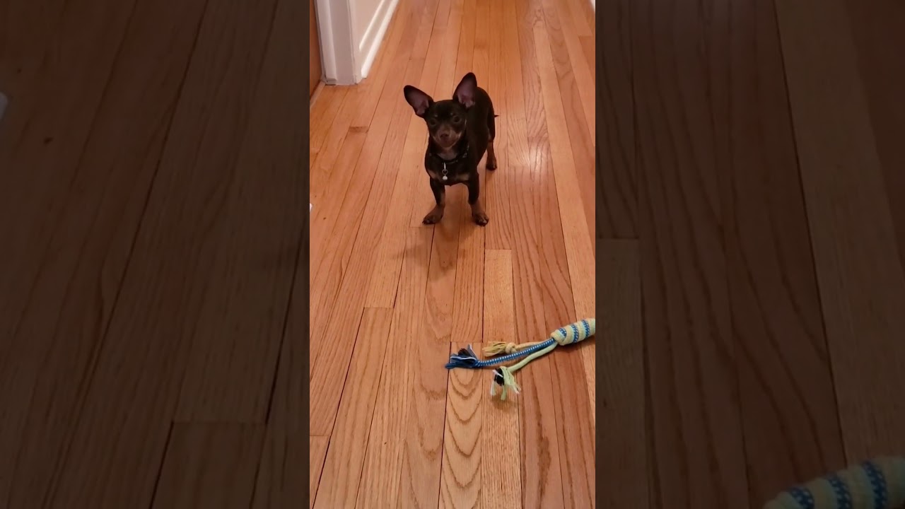 Not the best at catch 🤷‍♀️🤦‍♀️😅 