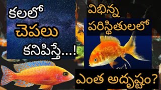కలలో చెపలు కనిపిస్తే || Kalalo Chepalu Kanipiste || Fish in Dream Meaning || Part 1