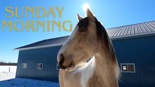 Sunny Sunday Morning with the Horses | Quiet &amp; Calm Barn Life