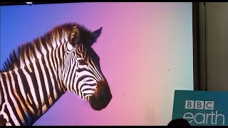 BBC Studios Africa Summer 2022 upfront - BBC Earth sizzle reel