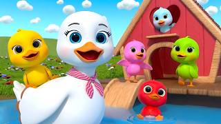 old macdonlad had farm new compilation five little ducks