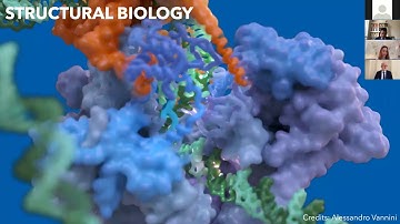 OPEN HT - Prof. Iain Mattaj